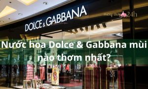 Nước hoa Dolce & Gabbana mùi nào thơm nhất?