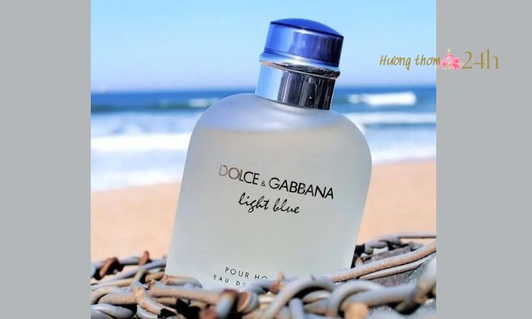 D&G Dolce & Gabbana Light Blue Puor Homme