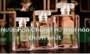 Nước hoa Chanel nữ mùi nào thơm nhất