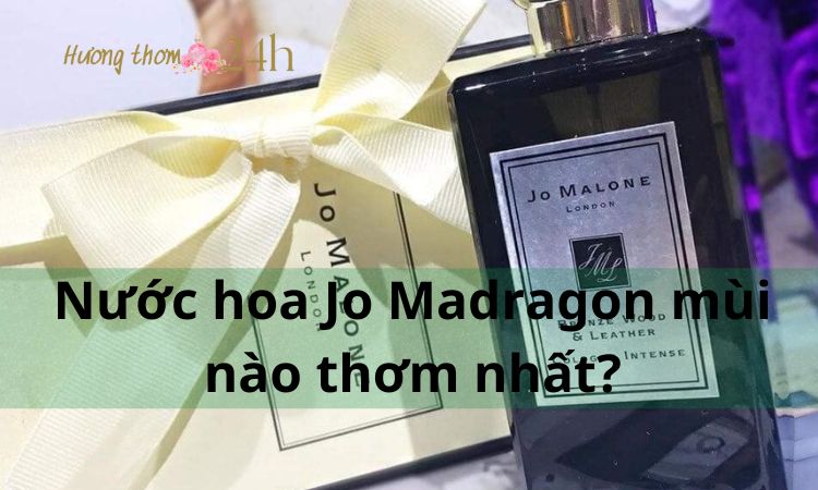 Nước hoa Jo Madragon mùi nào thơm nhất?