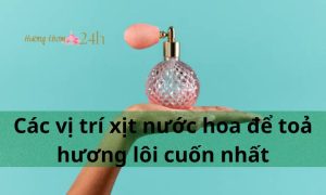 Các vị trí xịt nước hoa