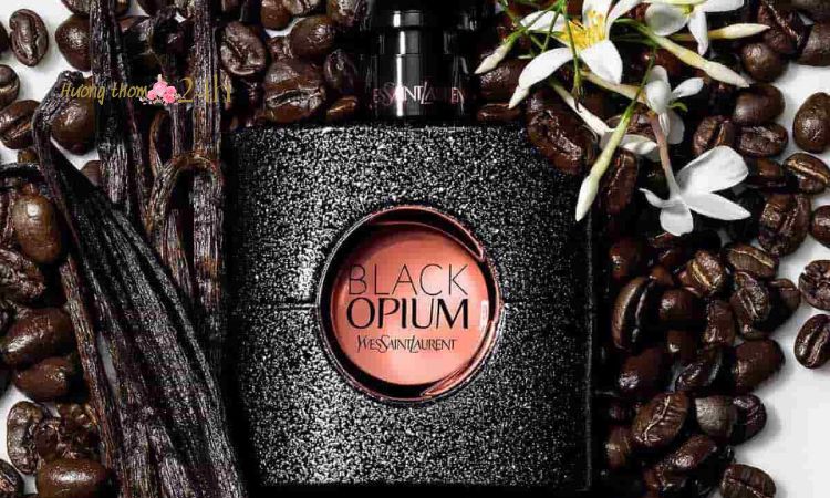 Nước hoa nữ YSL Black Opium