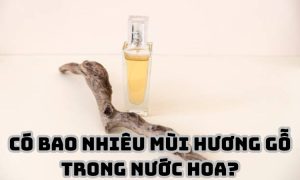 Có bao nhiêu mùi hương gỗ trong nước hoa?