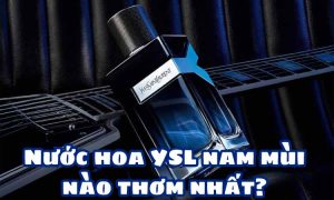 Nước hoa YSL nam mùi nào thơm nhất?