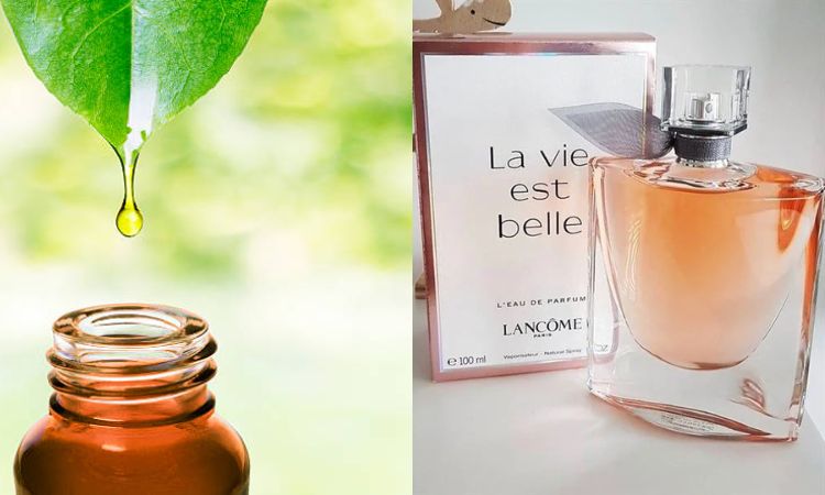 Tìm hiểu tinh dầu và nước hoa là gì?